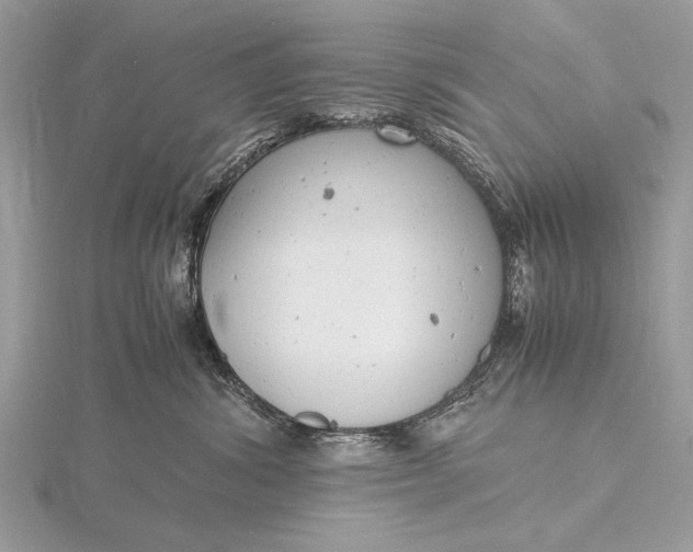 X0000116140428200912071247