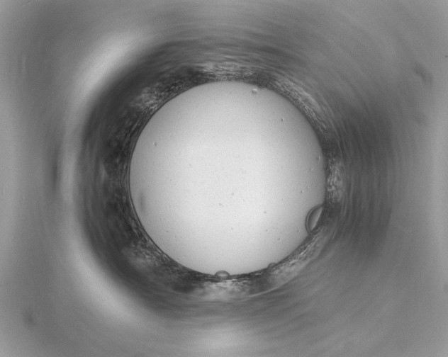 X0000116140430200912071247