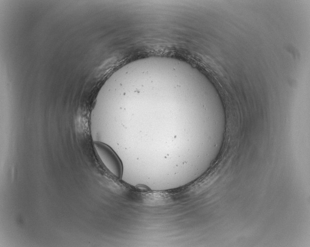 X0000116140432200912071247