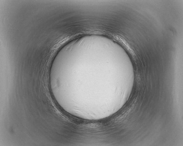 X0000116140433200912071246