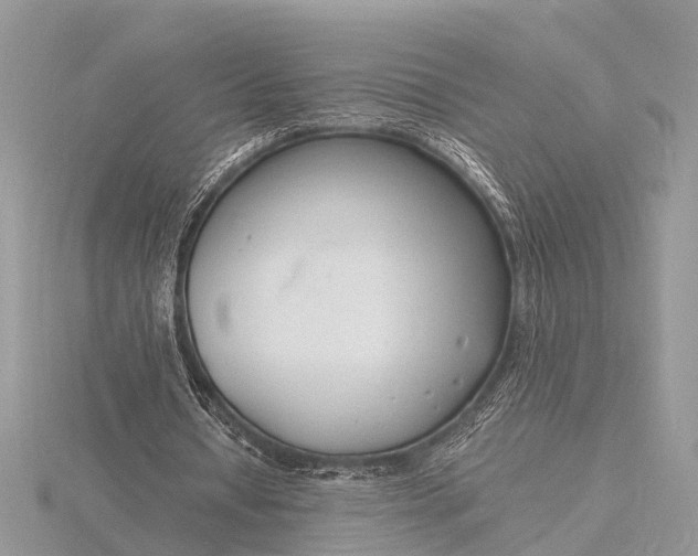 X0000116140434200912071246