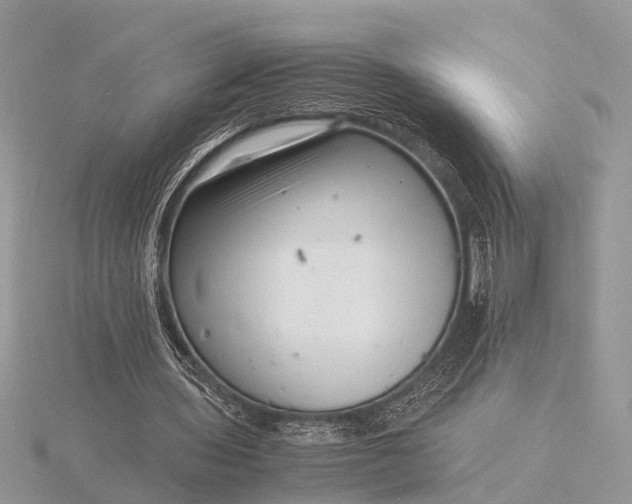 X0000116140435200912071246