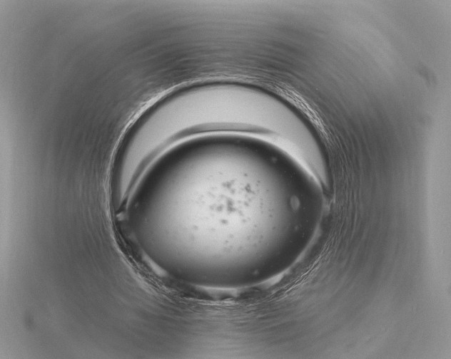 X0000116140436200912071246