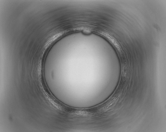 X0000116140437200912071246