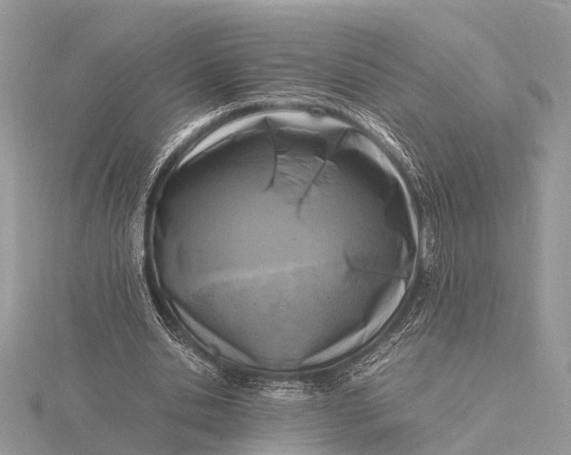 X0000116140438200912071246