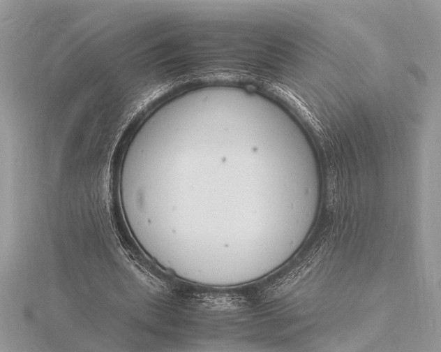 X0000116140439200912071246