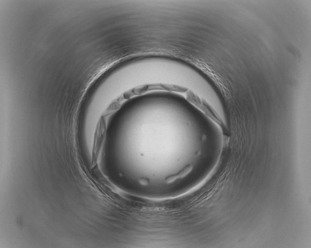 X0000116140440200912071246