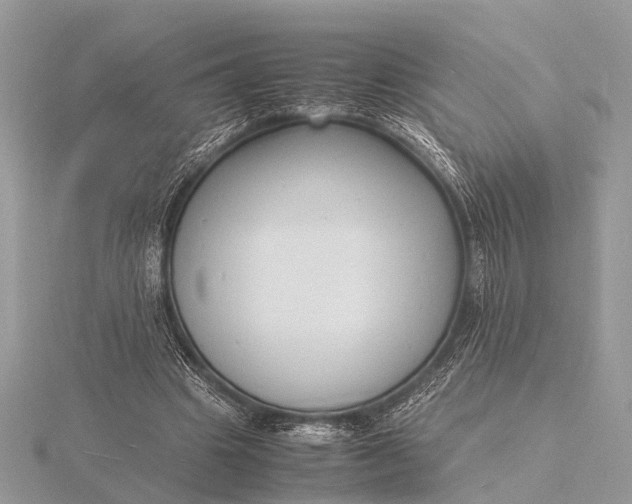 X0000116140441200912071246