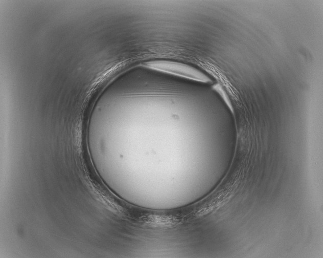 X0000116140442200912071246