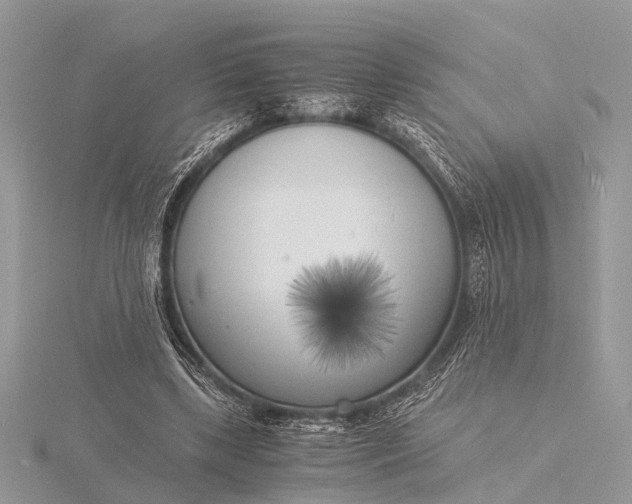 X0000116140443200912071246