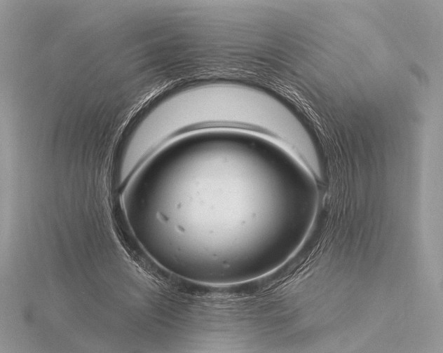 X0000116140444200912071246