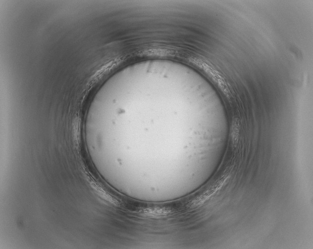 X0000116140445200912071246