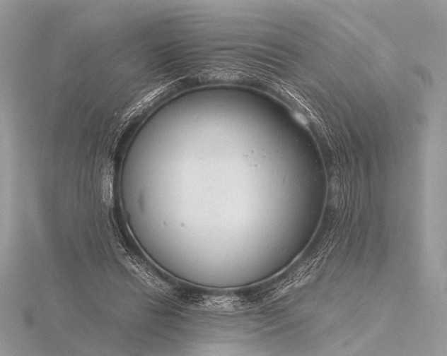 X0000116140446200912071246