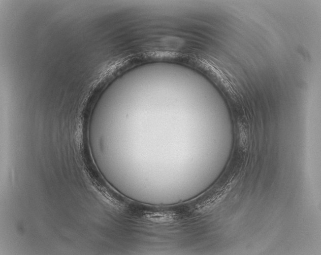 X0000116140447200912071246