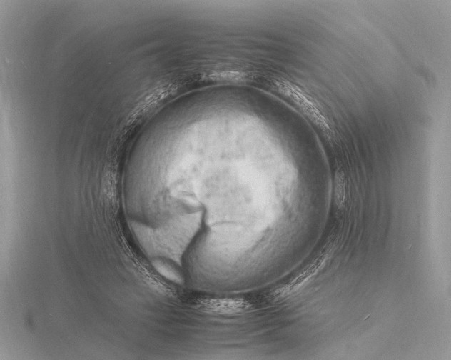 X0000116140449200912071246