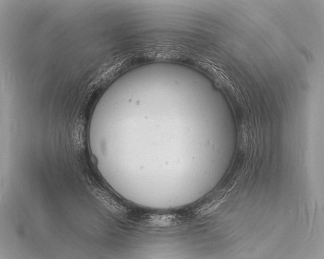 X0000116140450200912071246