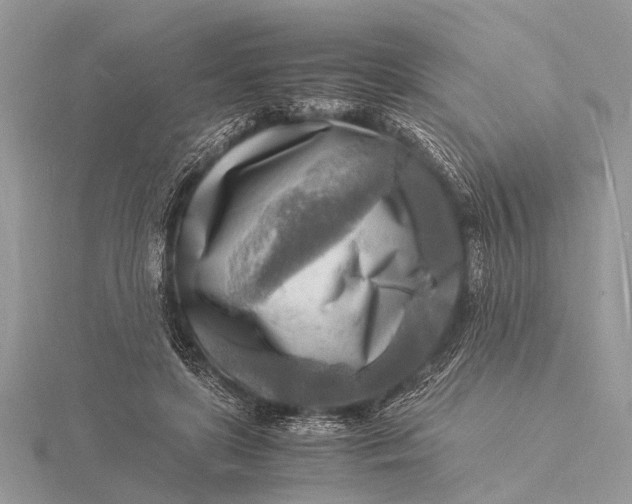 X0000116140451200912071246