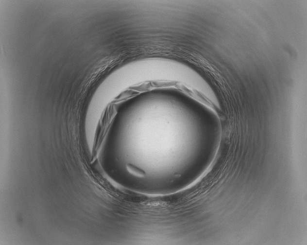 X0000116140452200912071246