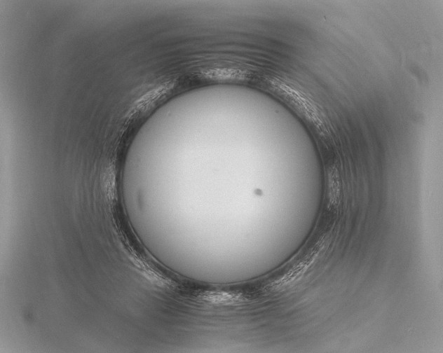 X0000116140453200912071246