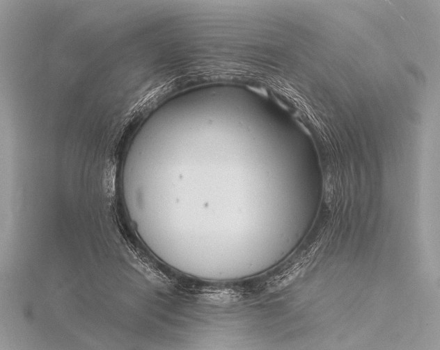 X0000116140454200912071246