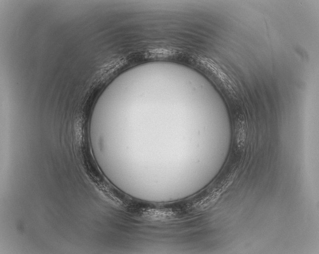 X0000116140455200912071246