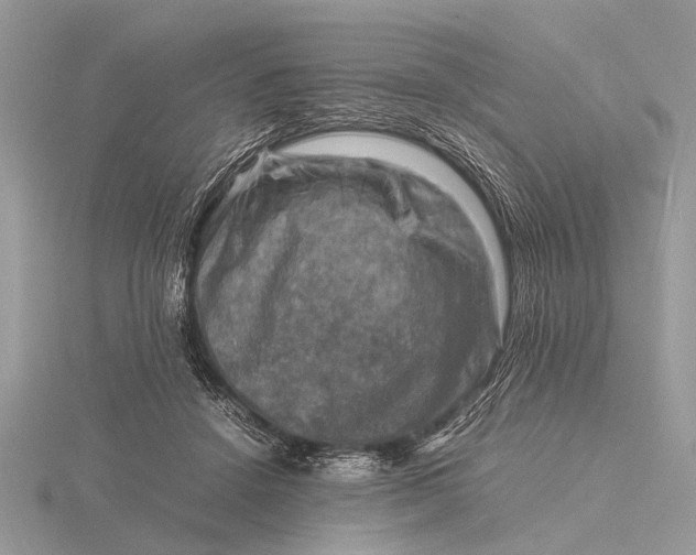 X0000116140456200912071246