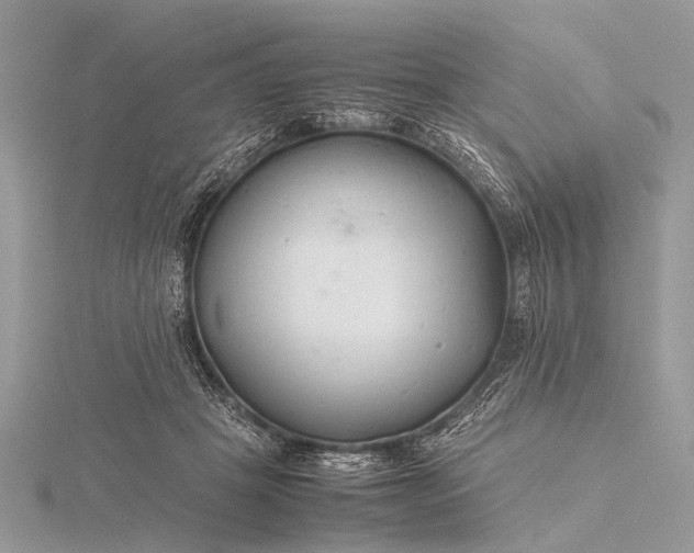 X0000116140457200912071246