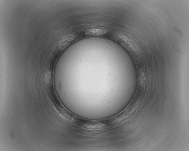 X0000116140459200912071246