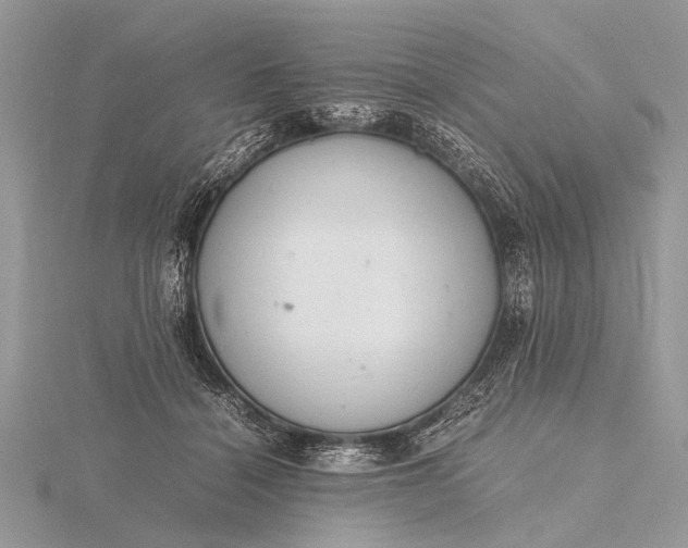 X0000116140460200912071246