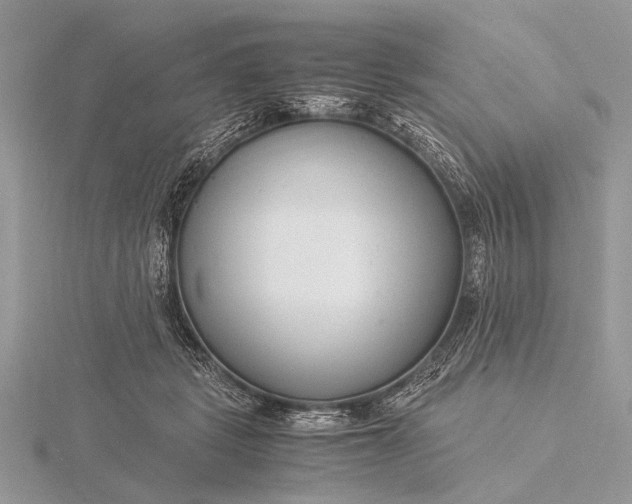 X0000116140461200912071246