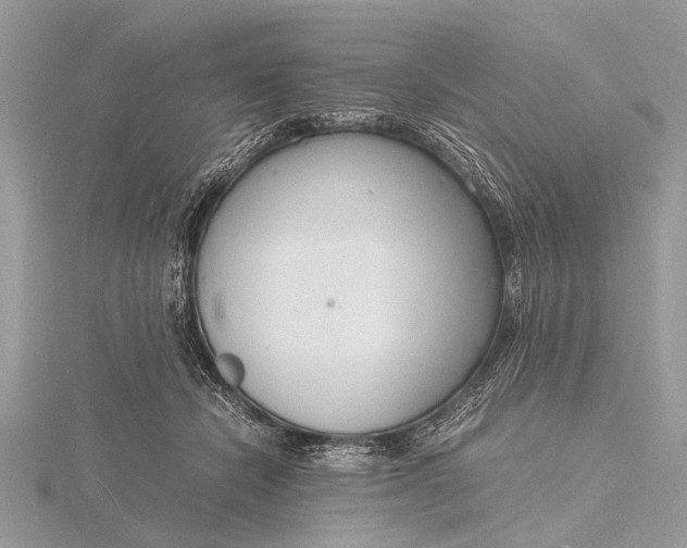 X0000116140462200912071246