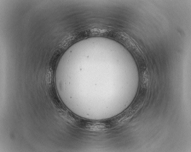 X0000116140463200912071246