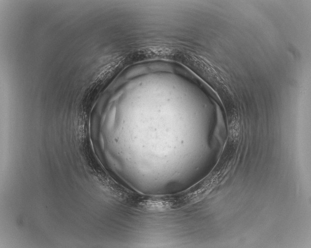 X0000116140464200912071246