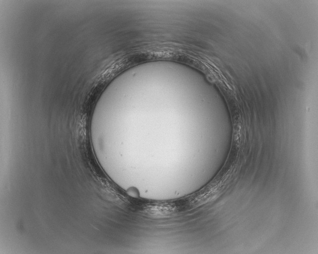 X0000116140466200912071246