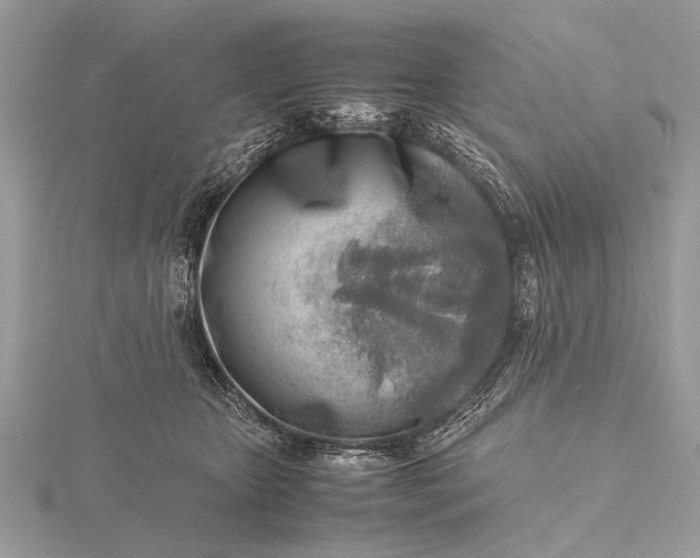 X0000116140467200912071246