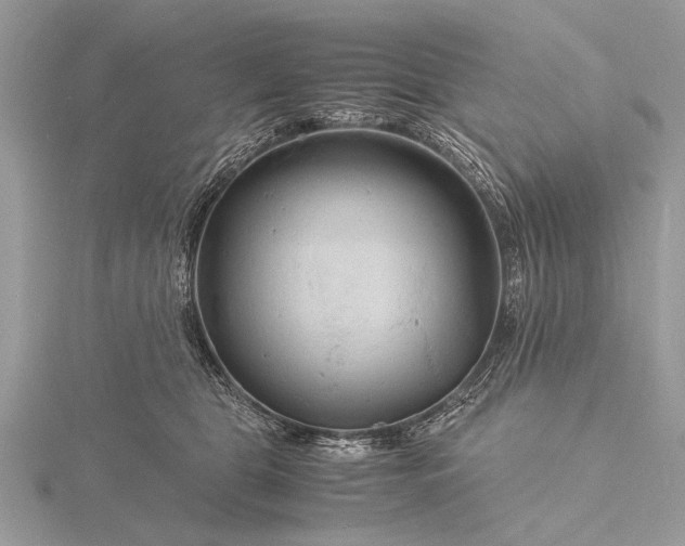 X0000116140469200912071246