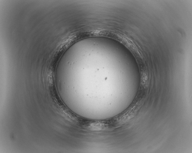 X0000116140470200912071246