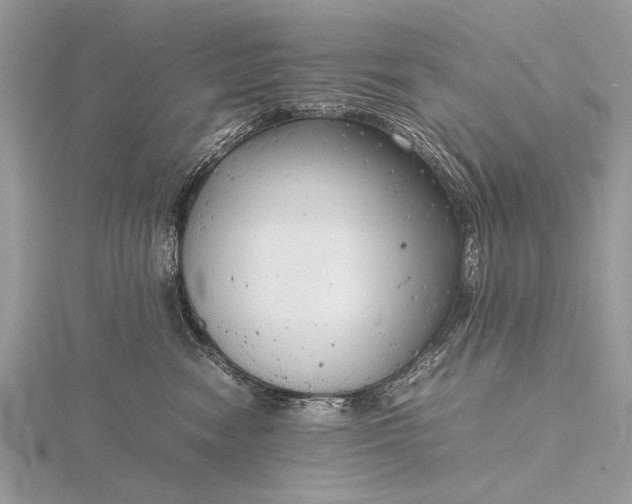 X0000116140474200912071247