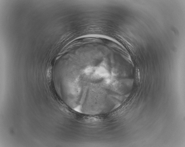 X0000116140475200912071247