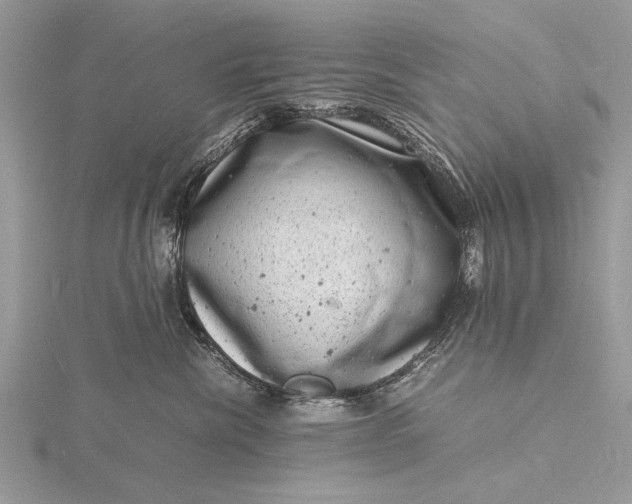 X0000116140476200912071247