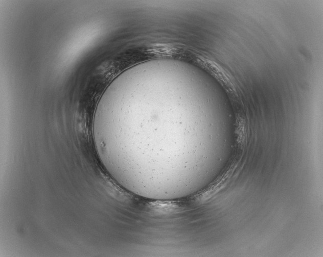 X0000116140477200912071247