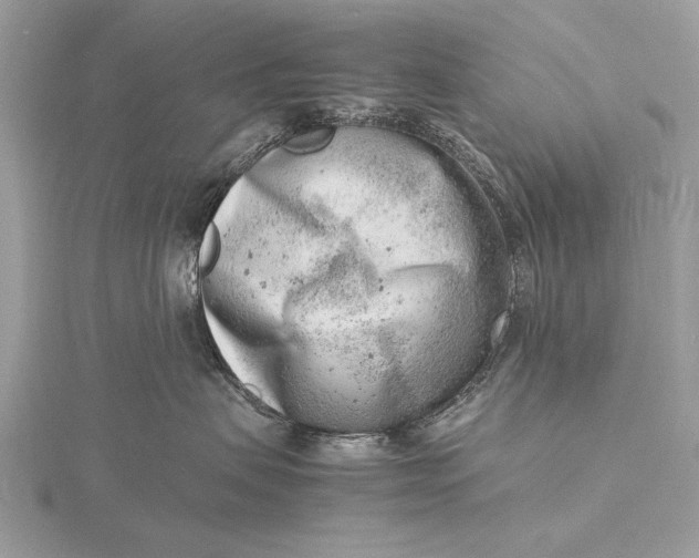 X0000116140479200912071247