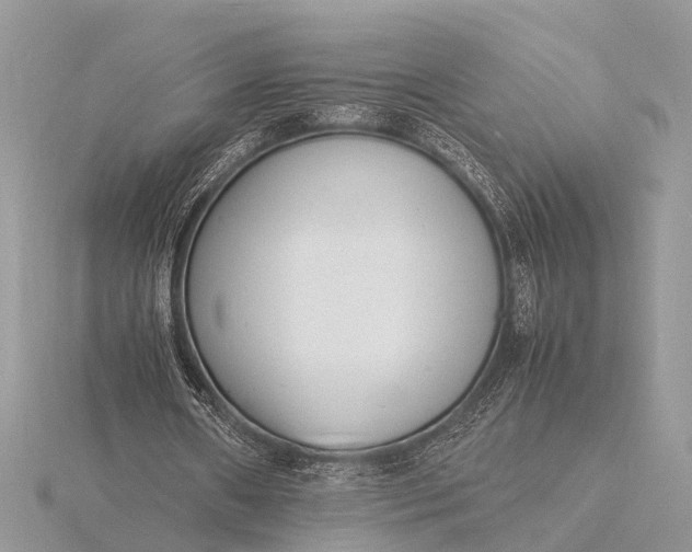 X0000116140482200912071246