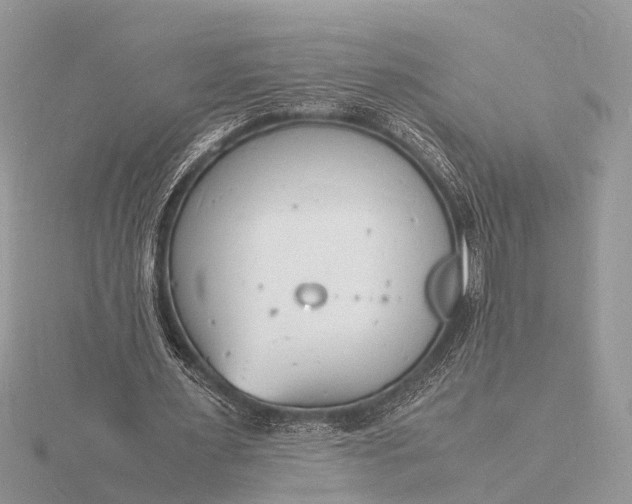 X0000116140483200912071246