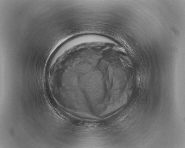 X0000116140484200912071246