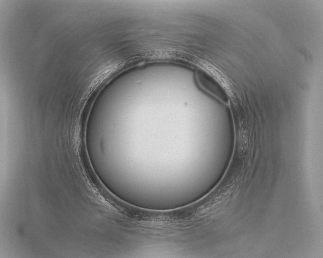 X0000116140485200912071246