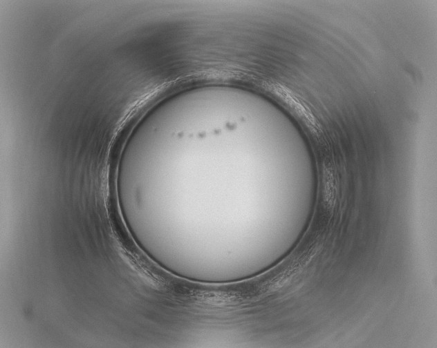 X0000116140486200912071246