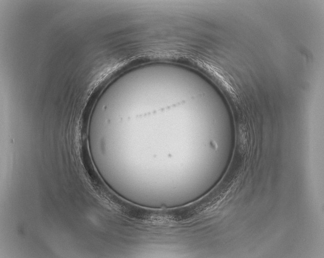 X0000116140487200912071246