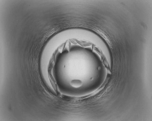 X0000116140489200912071246