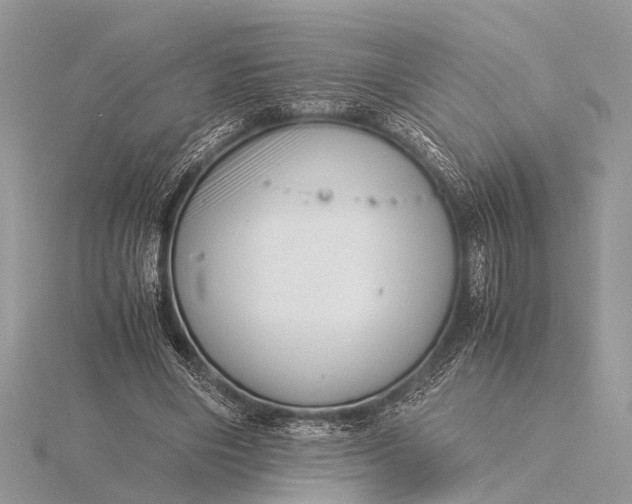 X0000116140490200912071246